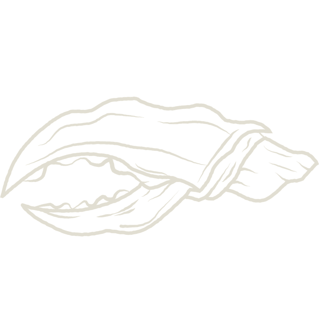Big Claw Media